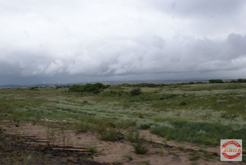 DSC06940.jpg