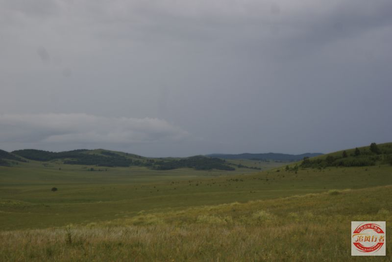DSC07331.jpg
