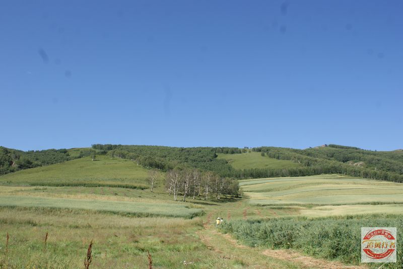 DSC07687.jpg