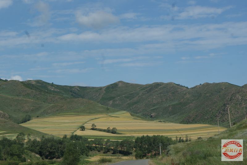 DSC07805.jpg