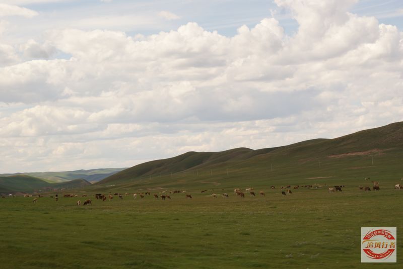 DSC09324.jpg