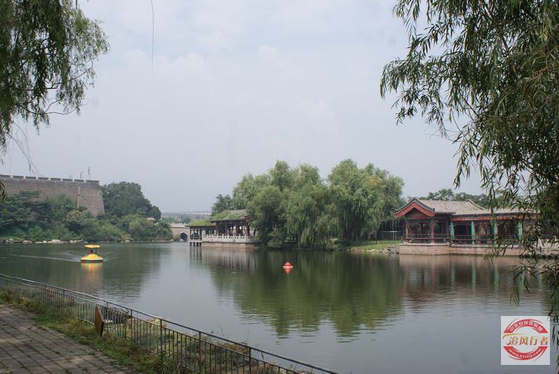 DSC09783.jpg