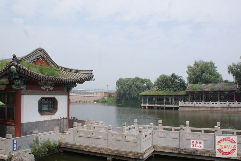 DSC09784.jpg