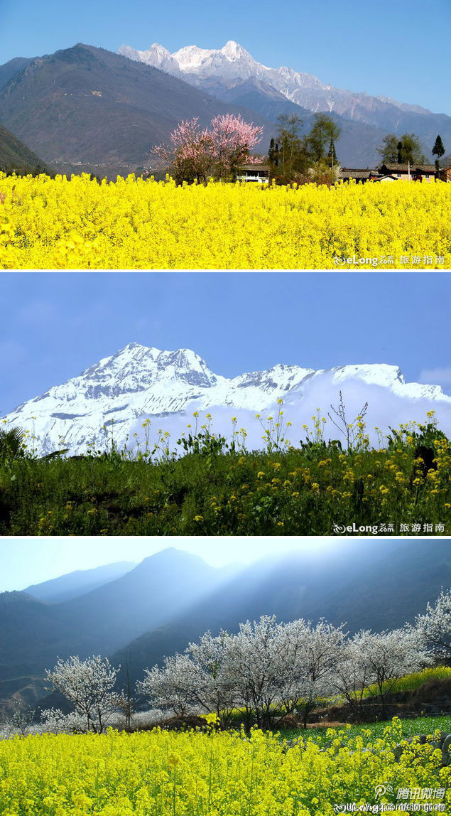 mblogpic579ddb849cd68f21f85c2000.jpg