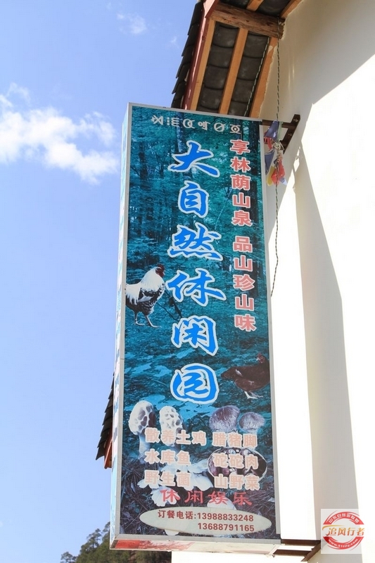 IMG_5503.jpg