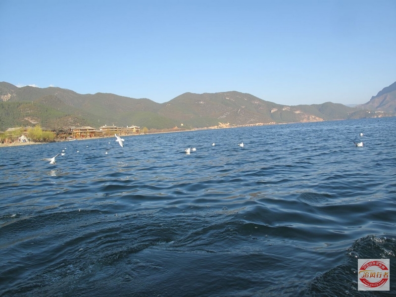 IMG_1849.jpg