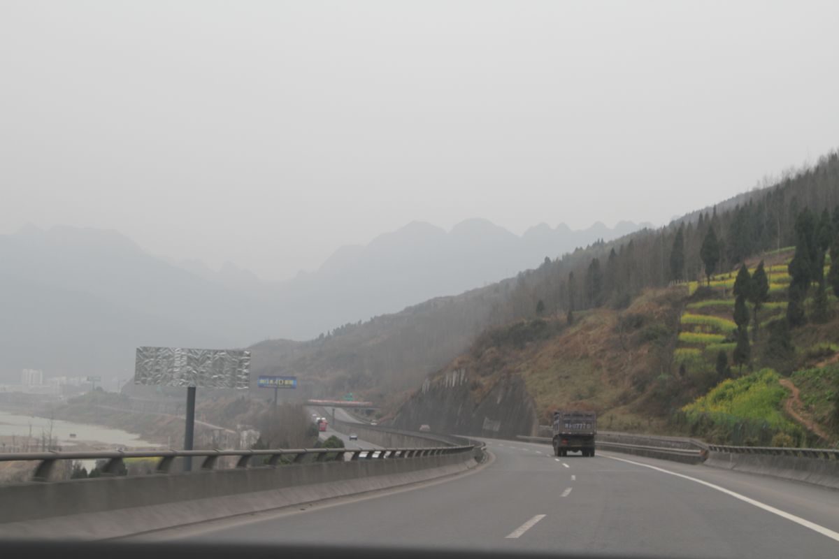 IMG_6296.jpg