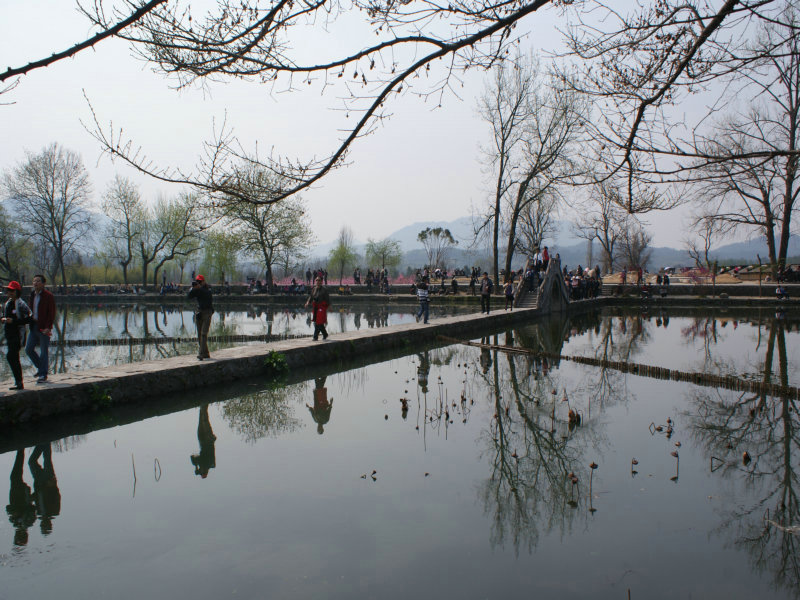 DSC07110.JPG