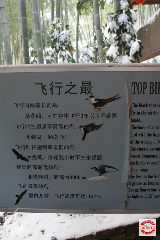 DSC07962.jpg