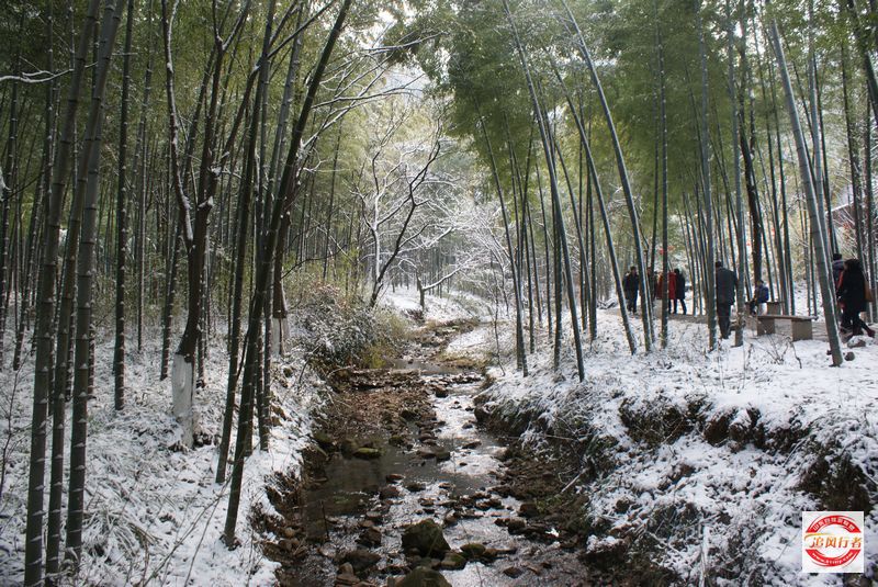 DSC07989.jpg