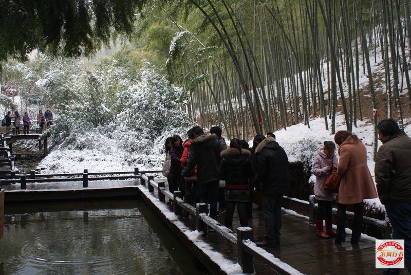 DSC08058.jpg