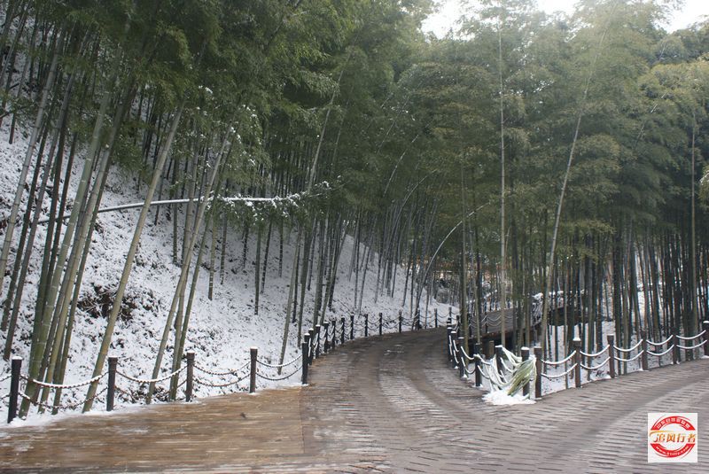 DSC08070.jpg