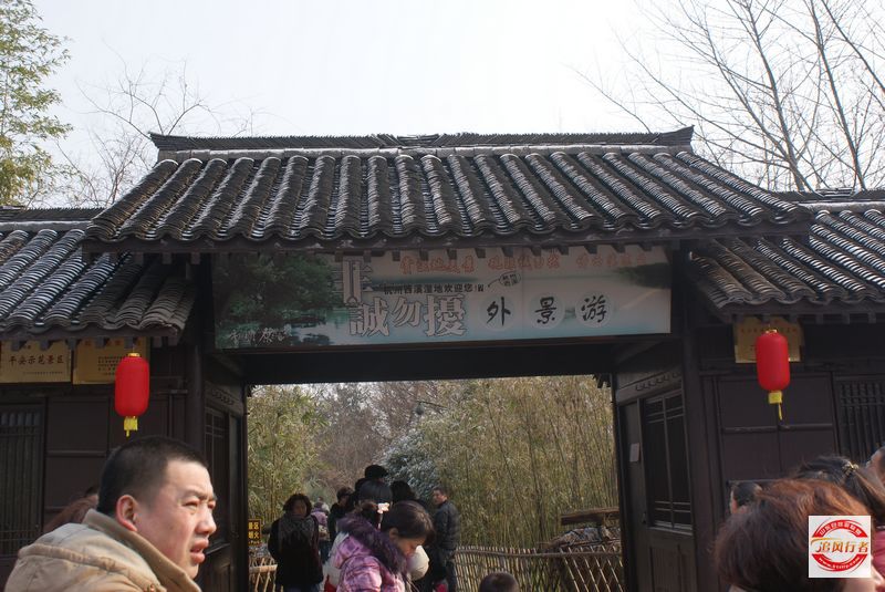 DSC08182.jpg