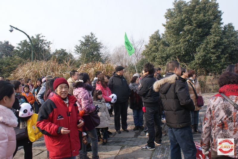 DSC08195.jpg