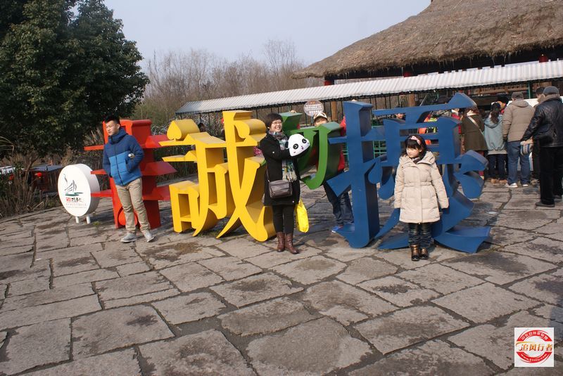 DSC08198.jpg