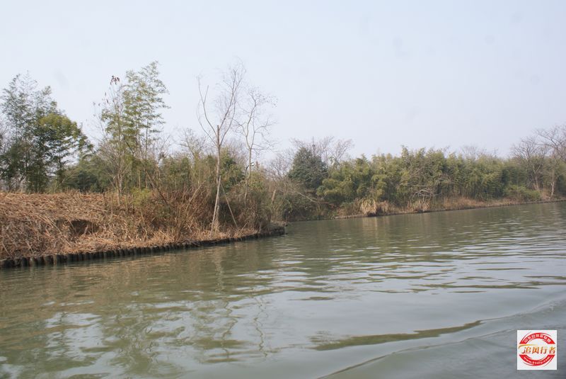 DSC08211.jpg