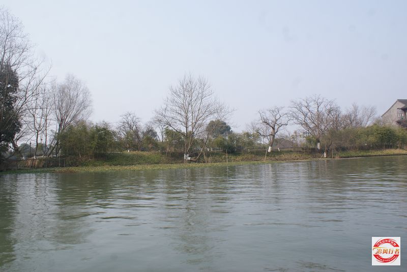 DSC08220.jpg