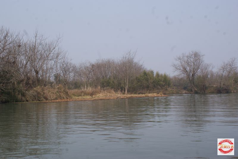 DSC08224.jpg