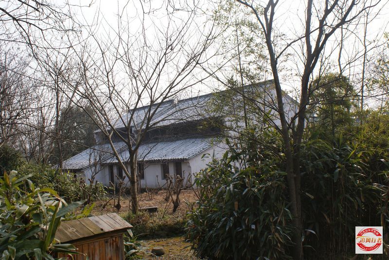 DSC08235.jpg