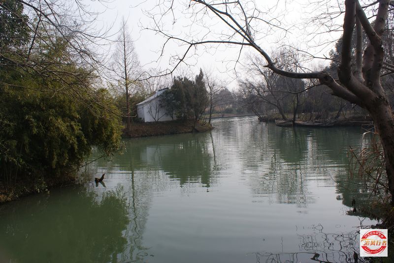 DSC08239.jpg