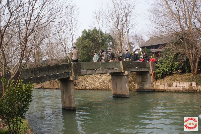 DSC08251.jpg