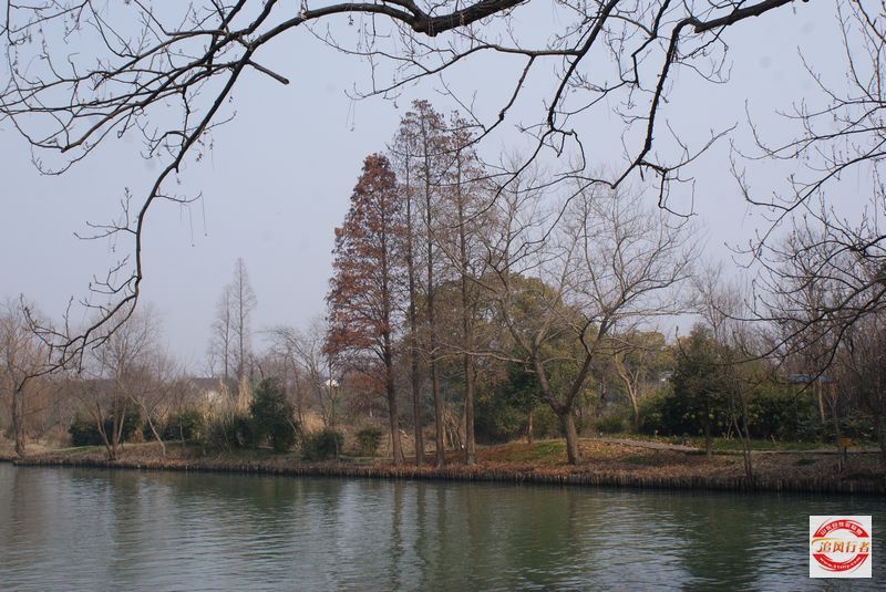 DSC08263.jpg