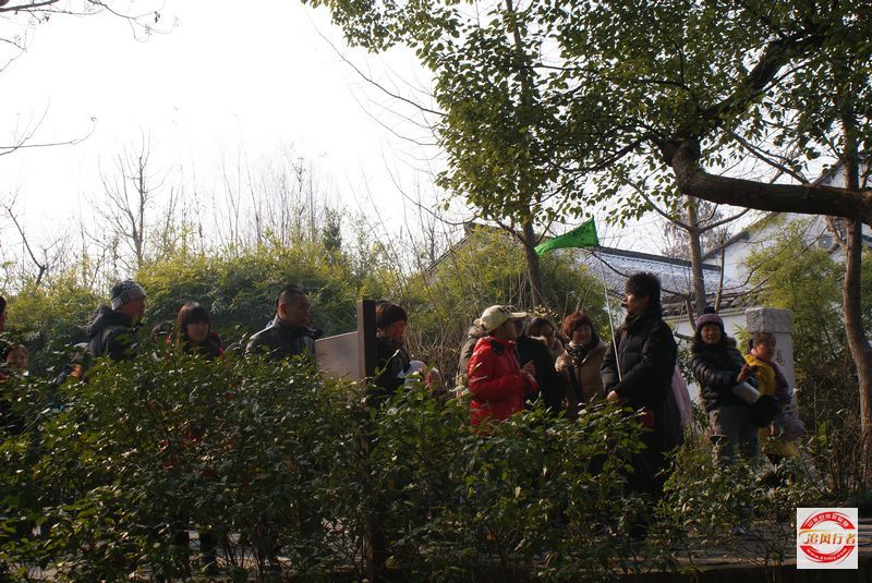 DSC08267.jpg