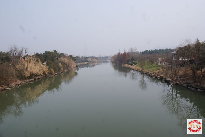 DSC08313.jpg