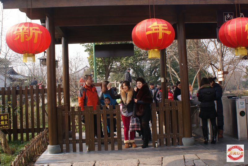 DSC08274.jpg