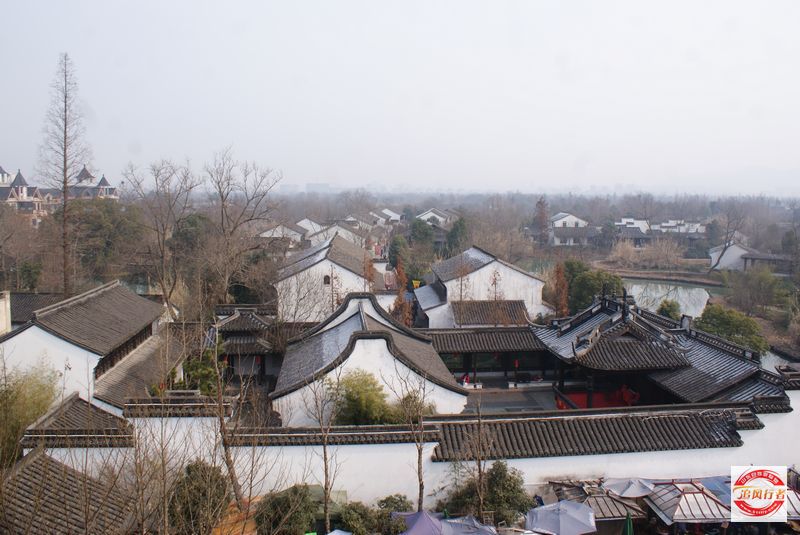 DSC08287.jpg