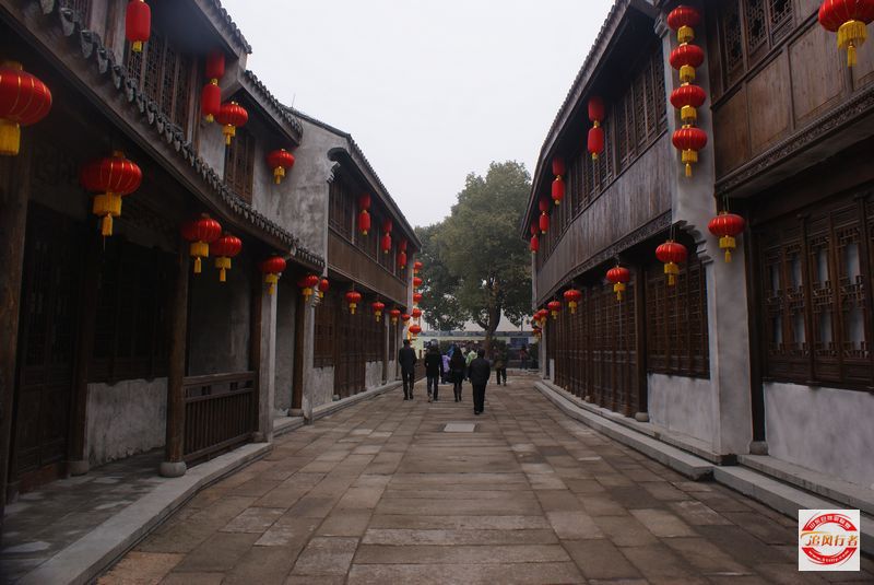 DSC08314.jpg
