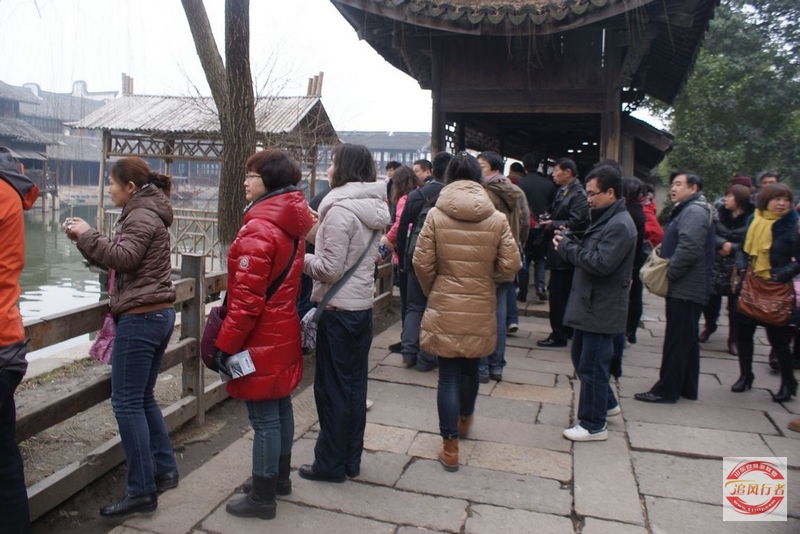 DSC08899.jpg