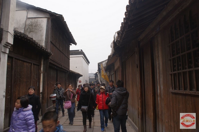 DSC08936.jpg