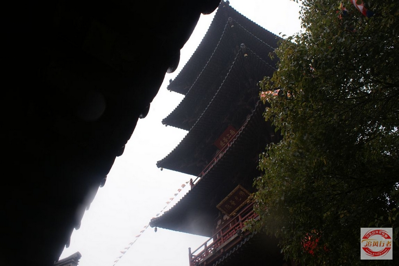 DSC08982.jpg