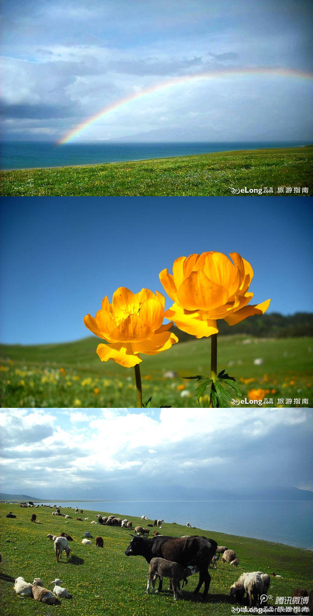 mblogpicba2772db72d15635f0462000.jpg