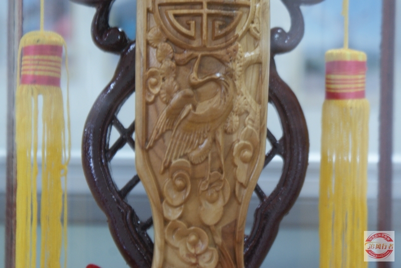 DSC00501.jpg