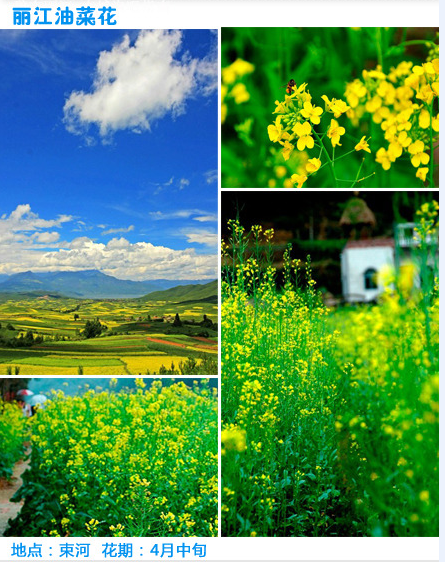 QQͼ20120320231240.png