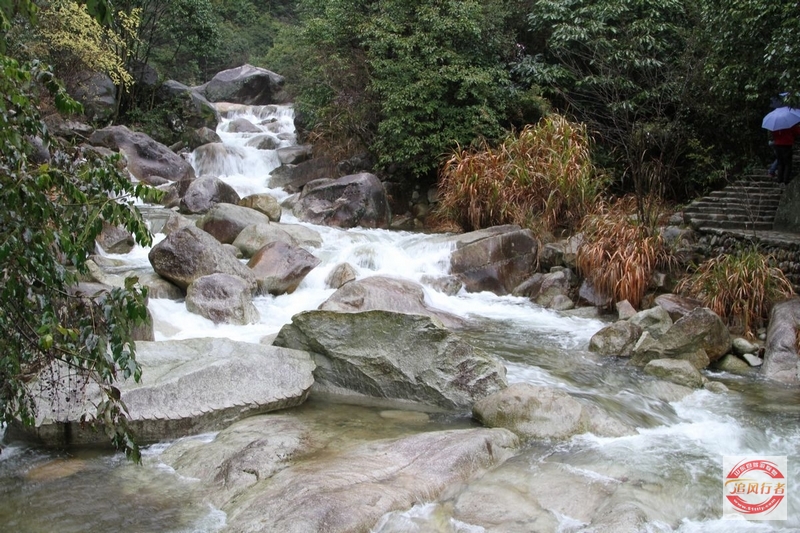 IMG_7731.jpg