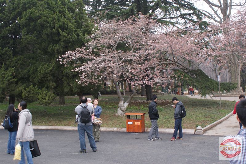 DSC00722.jpg