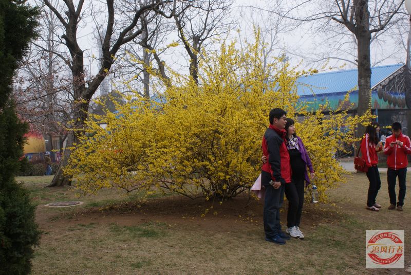 DSC00730.jpg