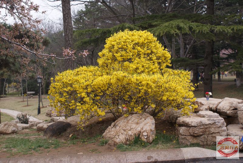 DSC00739.jpg