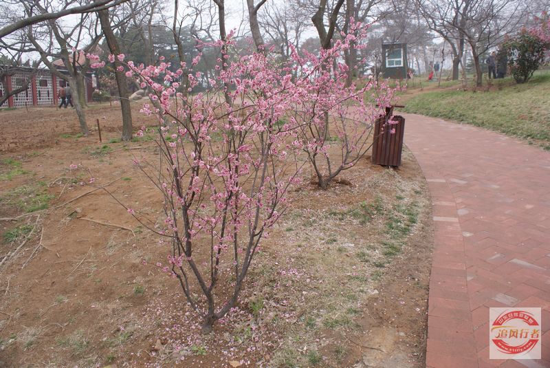 DSC00745.jpg