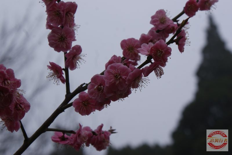 DSC00748.jpg