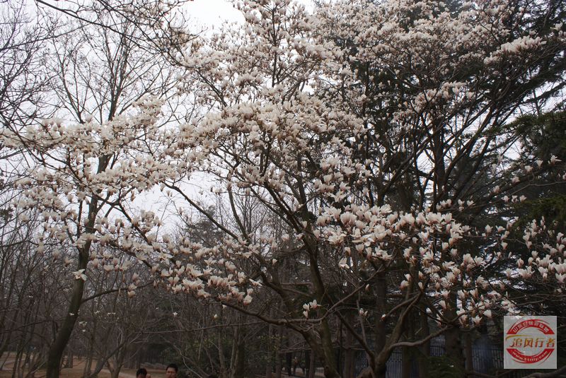 DSC00770.jpg