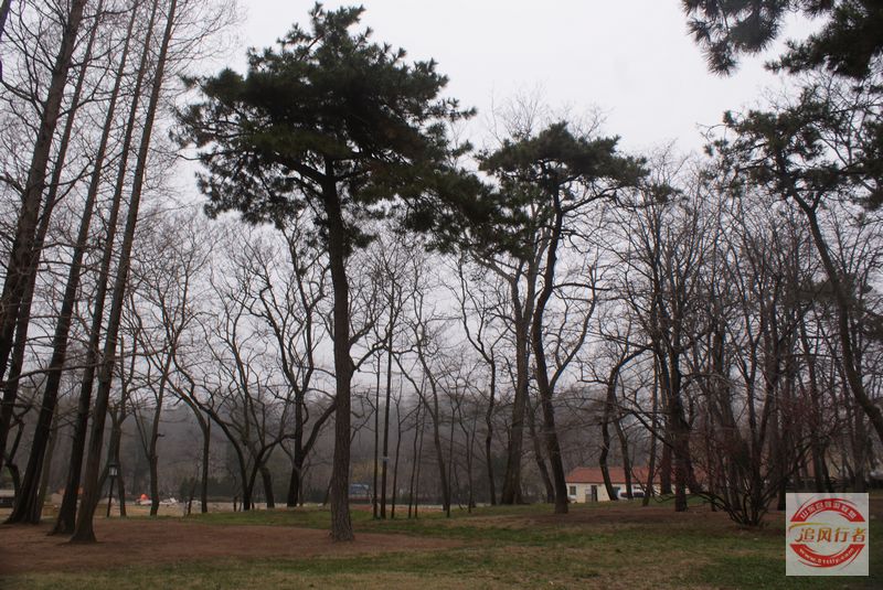 DSC00781.jpg