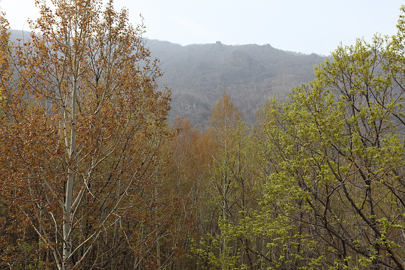 IMG_1849.JPG