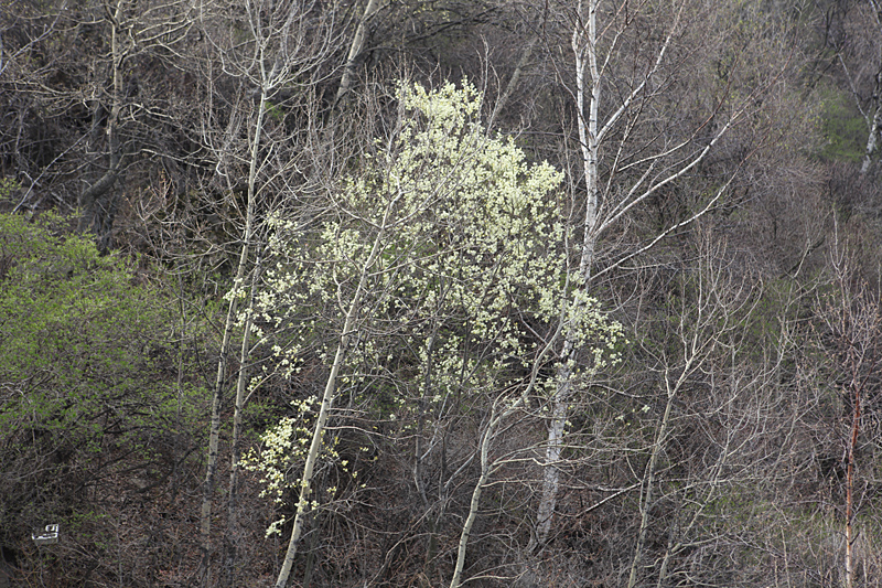 IMG_1864.JPG
