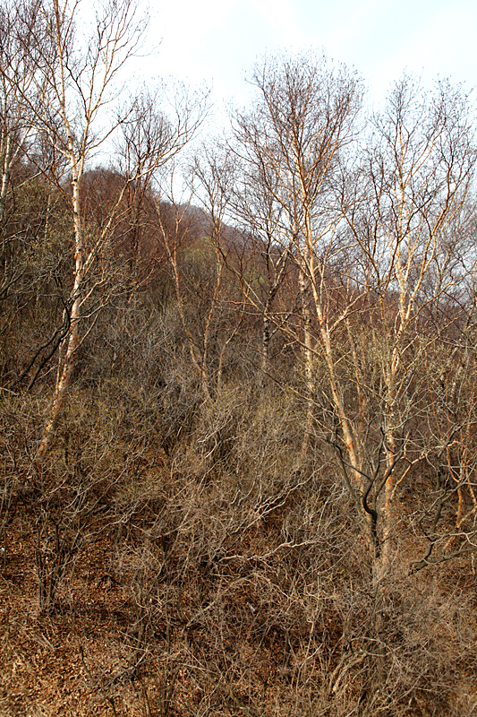 IMG_1873.JPG