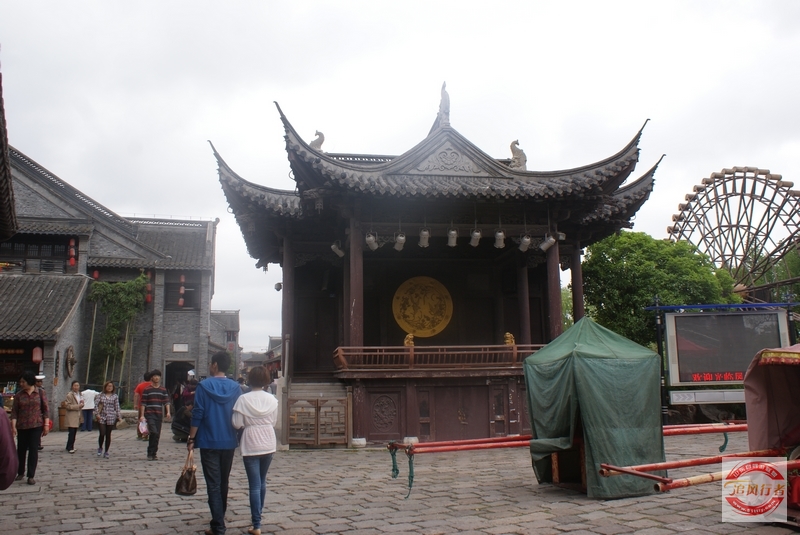 DSC01056.jpg
