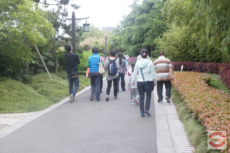 DSC01079.jpg